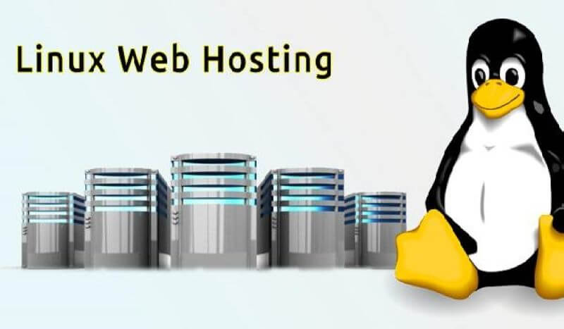 Dịch vụ Hosting Linux giá rẻ