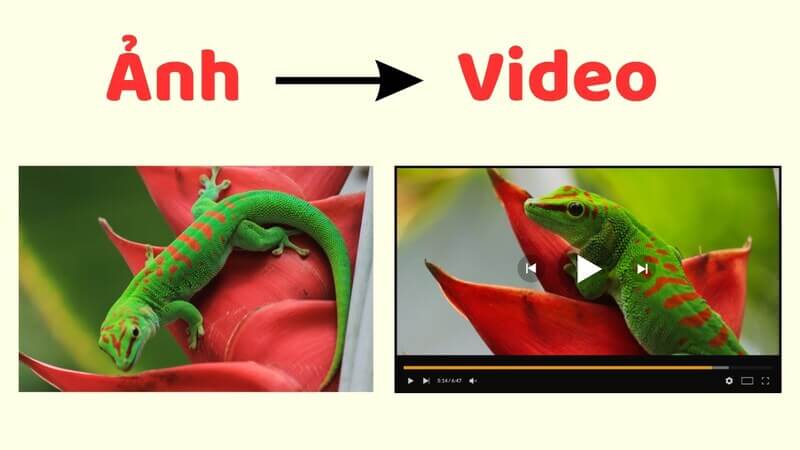 Chọn hình ảnh chất lượng để có video AI tốt nhất